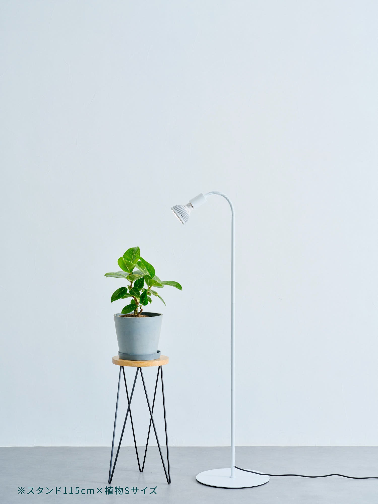 バレル フレキシブルフロアライトスタンド | 観葉植物・お花の通販 AND
