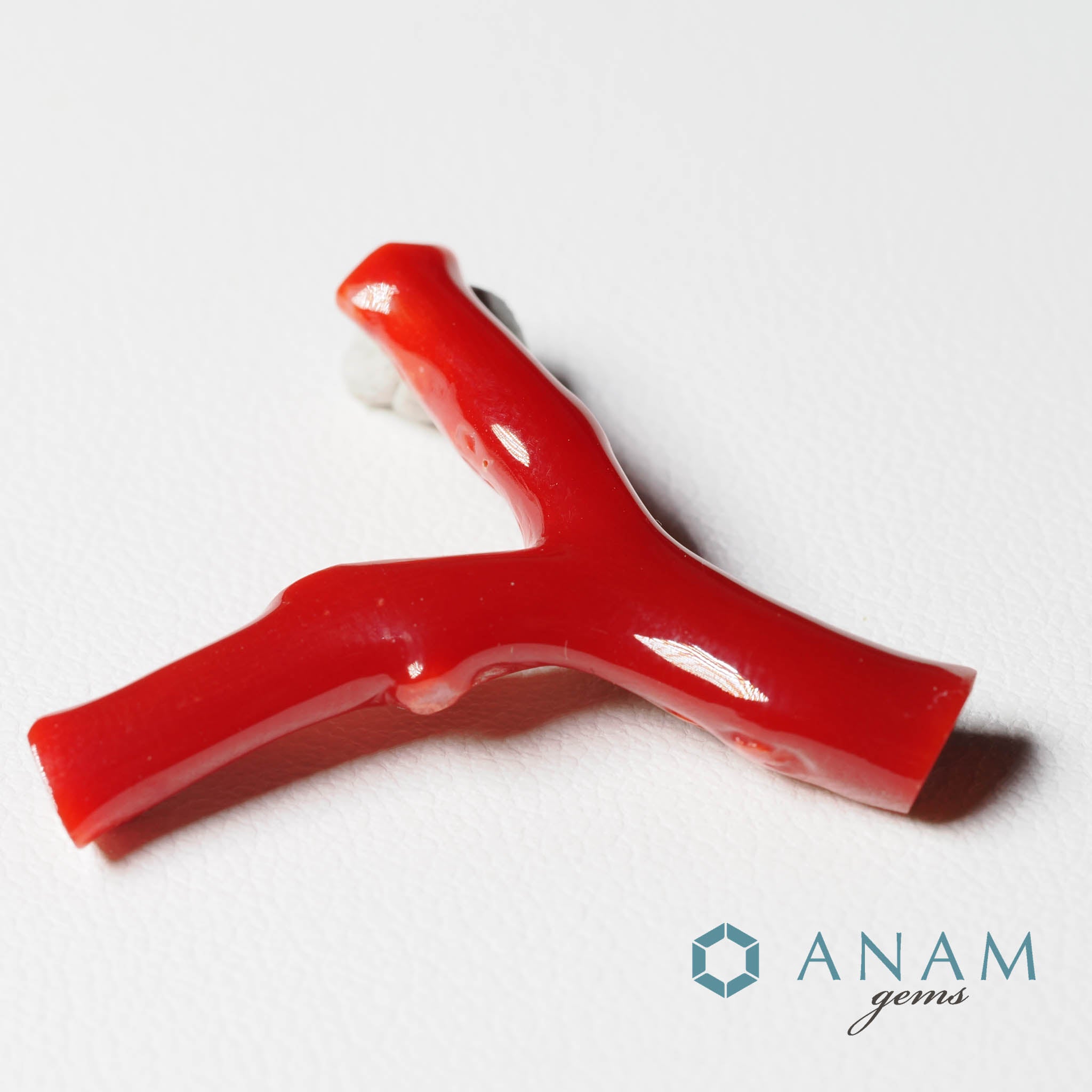 高知産 血赤珊瑚 枝 ルース‖ANAM gems（アナムジェムズ）-ハンドメイド