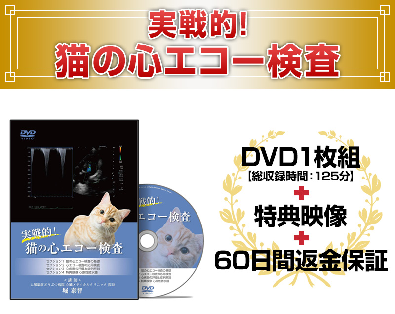 実戦的！猫の心エコー検査 | 株式会社 医療情報研究所