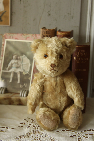 アンティークベア イギリス グラスアイ 20180718 【Antiques Truffle