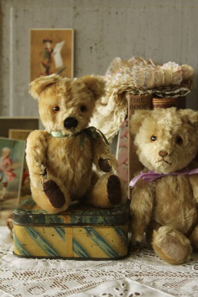 アンティークベア イギリス グラスアイ 20180718 【Antiques Truffle