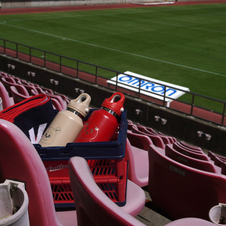 デリシャス・キャリアー・オブ・インフィニティ – 鹿島アントラーズFC