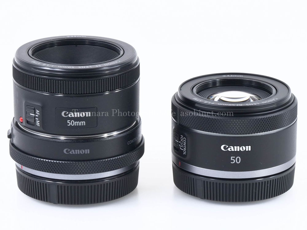 キヤノン「RF50mm F1.8 STM」vs「EF50mm F1.8 STM」ボケ編 - とるなら