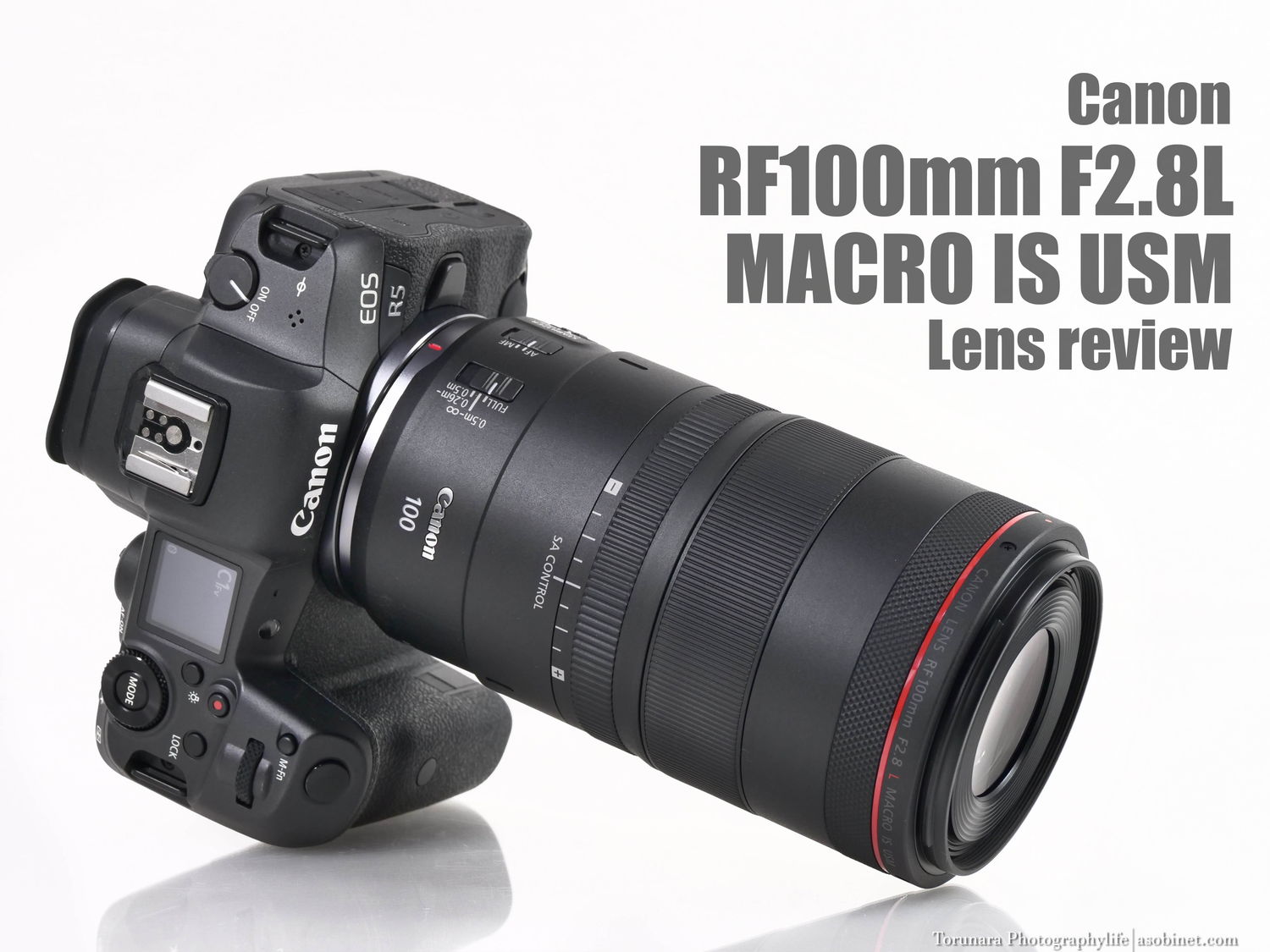 キャノンEF100mm F2.8Lマクロ IS USM Canon キャノン MACRO EF100mm F2
