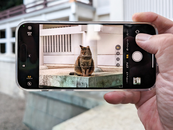 ASCII.jp：「iPhone 15 Pro Max」の5x望遠カメラは予想以上に猫撮り向けだ