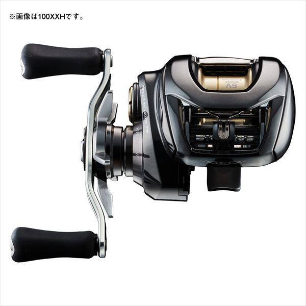 Daiwa 26 Steez SV Light TW 100HL (Left handed)