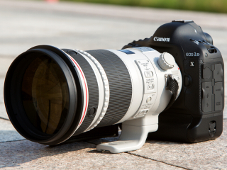 交換レンズ実写ギャラリー：キヤノンEF 300mm F2.8 L IS II USM