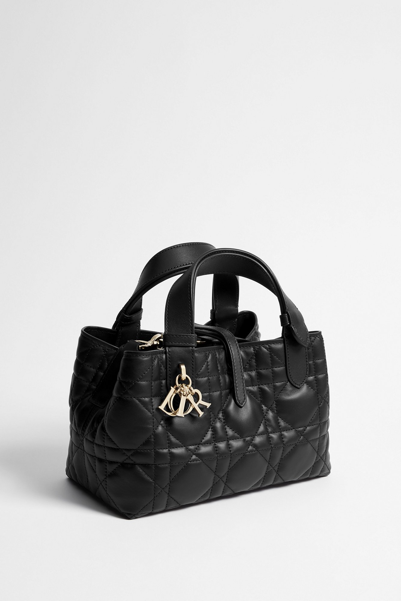 検索結果 “DIOR / ブラック / レザー” | トートバッグ|ウィメンズ