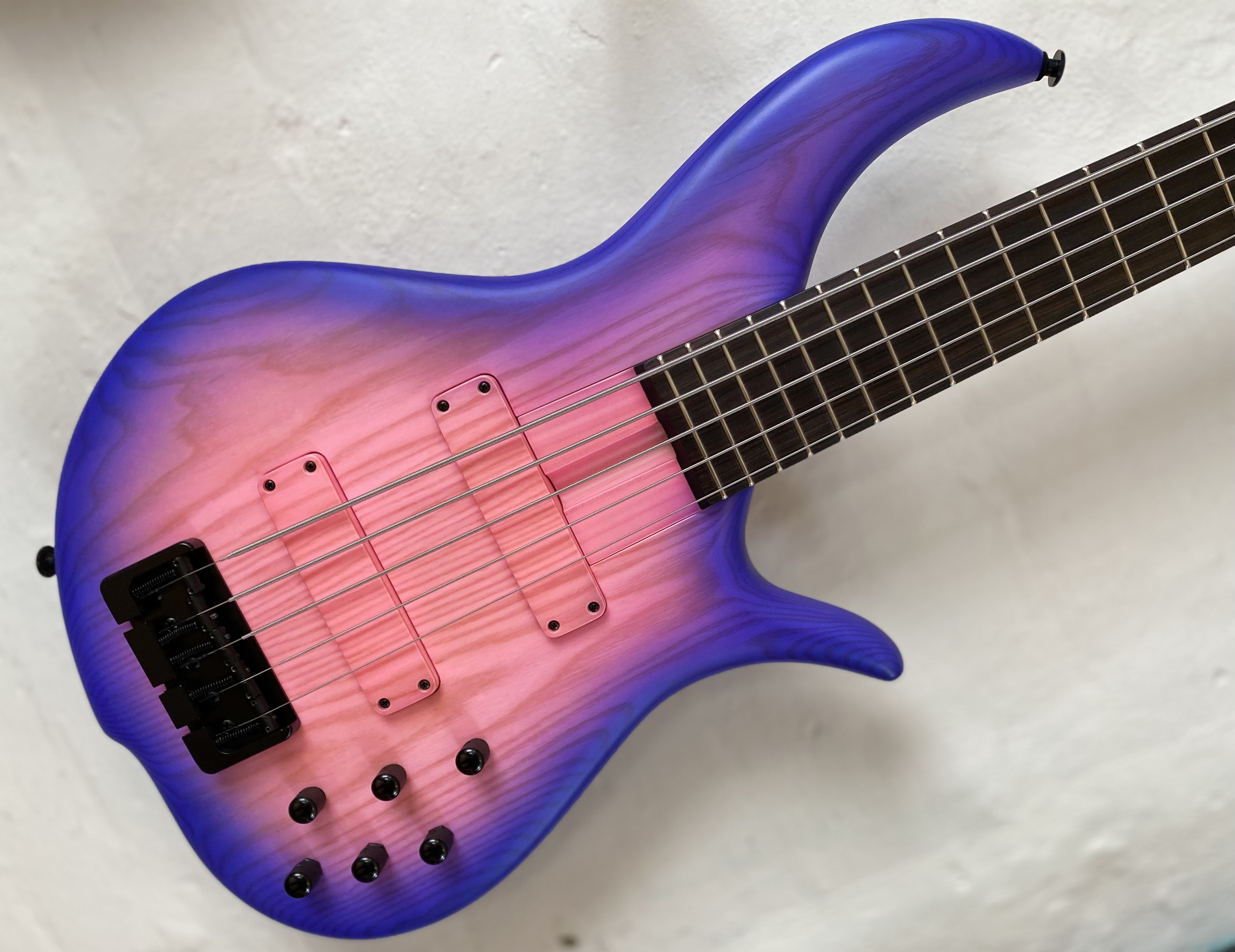 F Bass BN5 Neon Burst | Bass Buddha