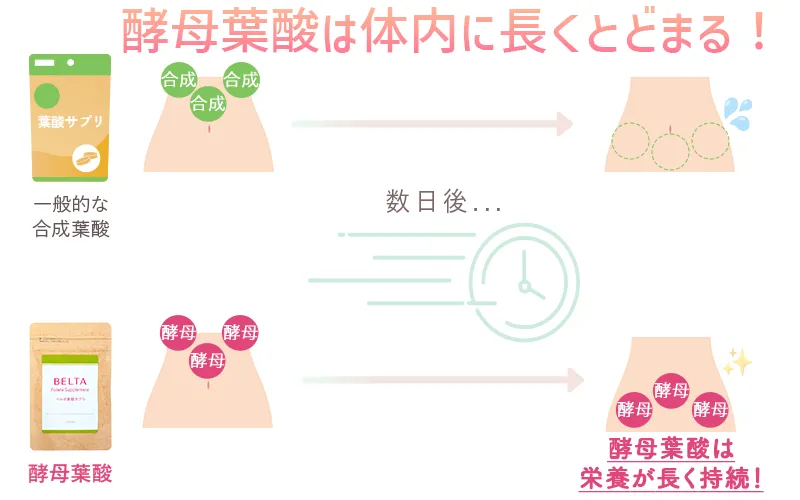 公式】ベルタ葉酸サプリ｜葉酸サプリ通販 | ベルタ公式ショップ | BELTA