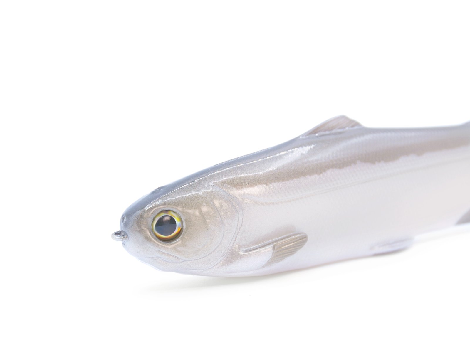 WORKING CLASS ZERO — Tyrant 8 (PRIESTESS)