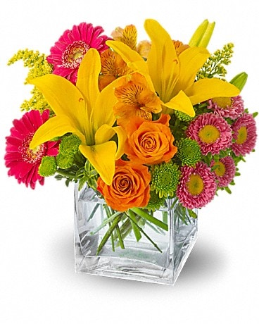 Summertime Splash (T05N101A) in Dallas TX - Petals & Stems Florist