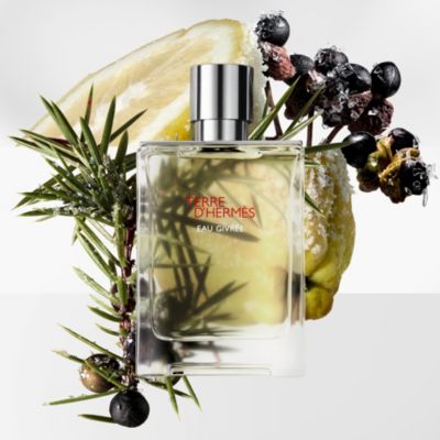 オー ド パルファム 《テール ドゥ エルメス オー ジヴレー》 - 100 ml