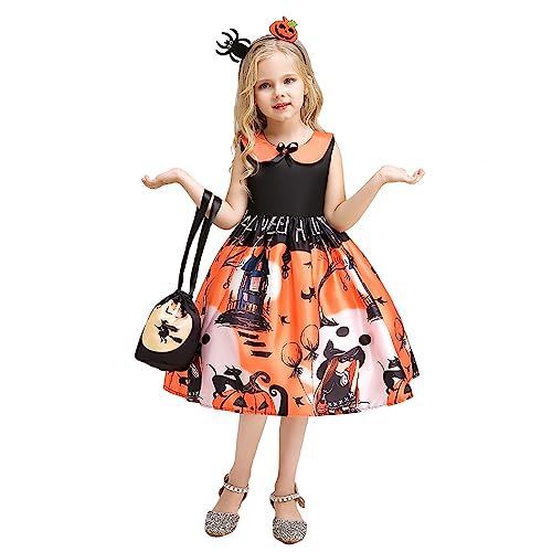 Bucephalandra sp. noble GT-toricolor タグ付 Bucephalandra sp