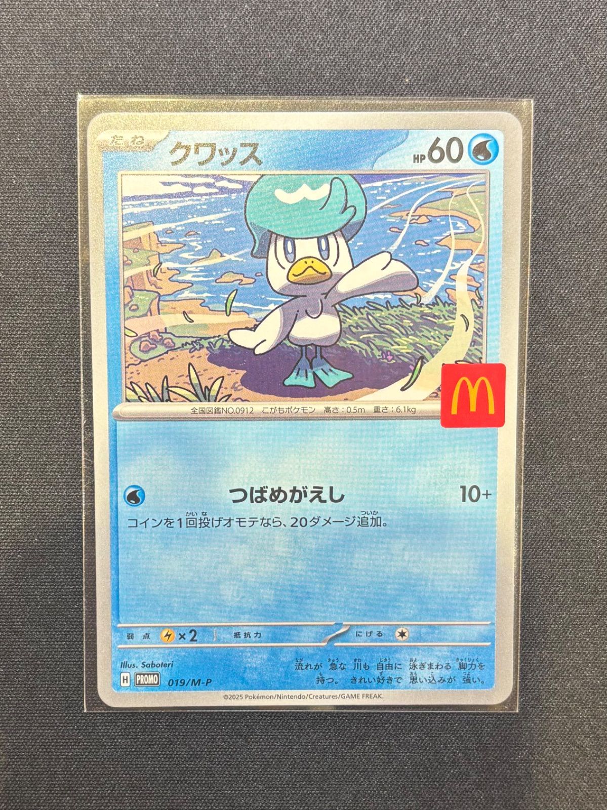 PSA10 カードe マクドナルド プロモ チコリータ チコリータ