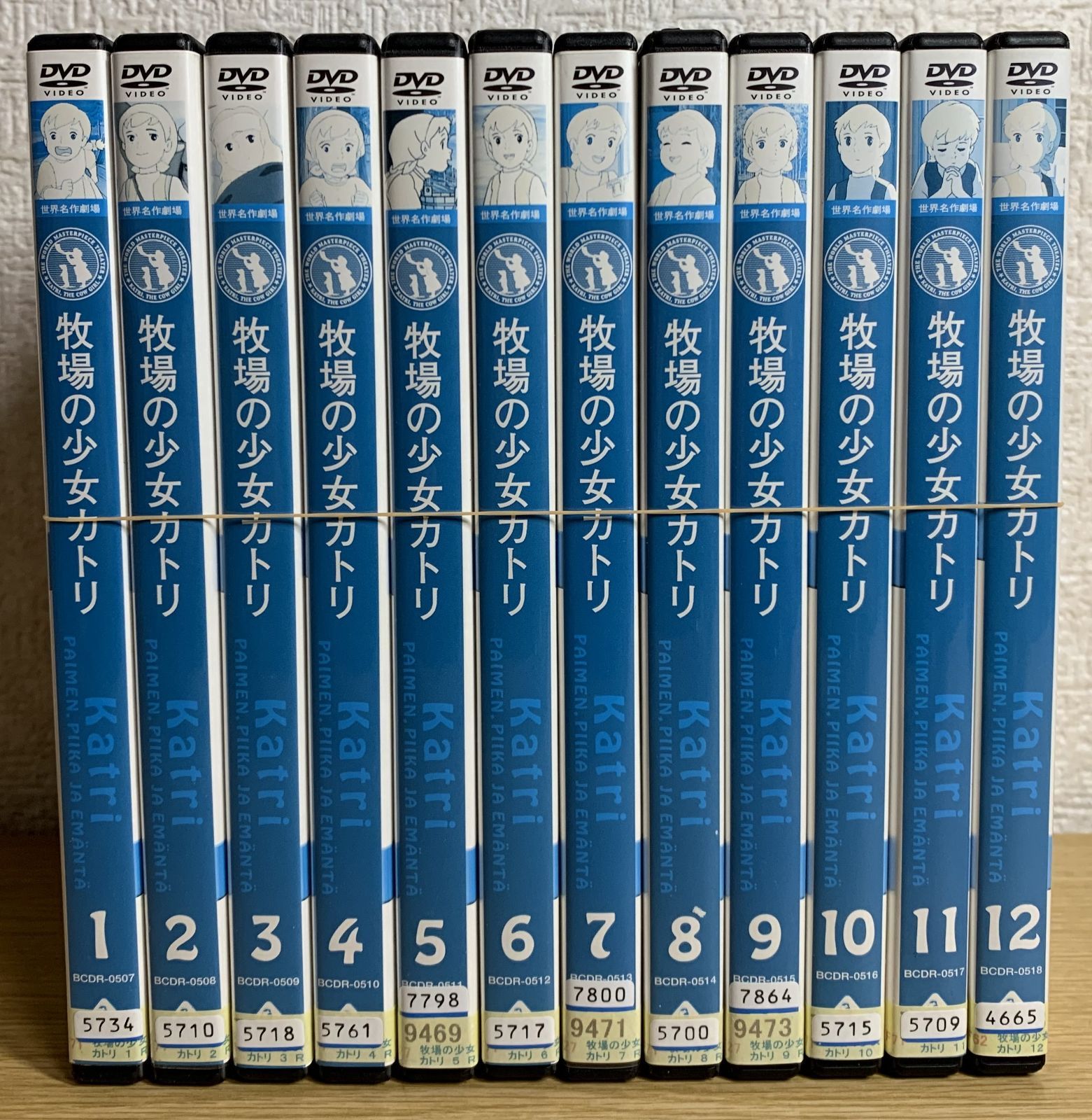 製品版 世界名作劇場～牧場の少女カトリ DVD 全12巻 セット 製品版