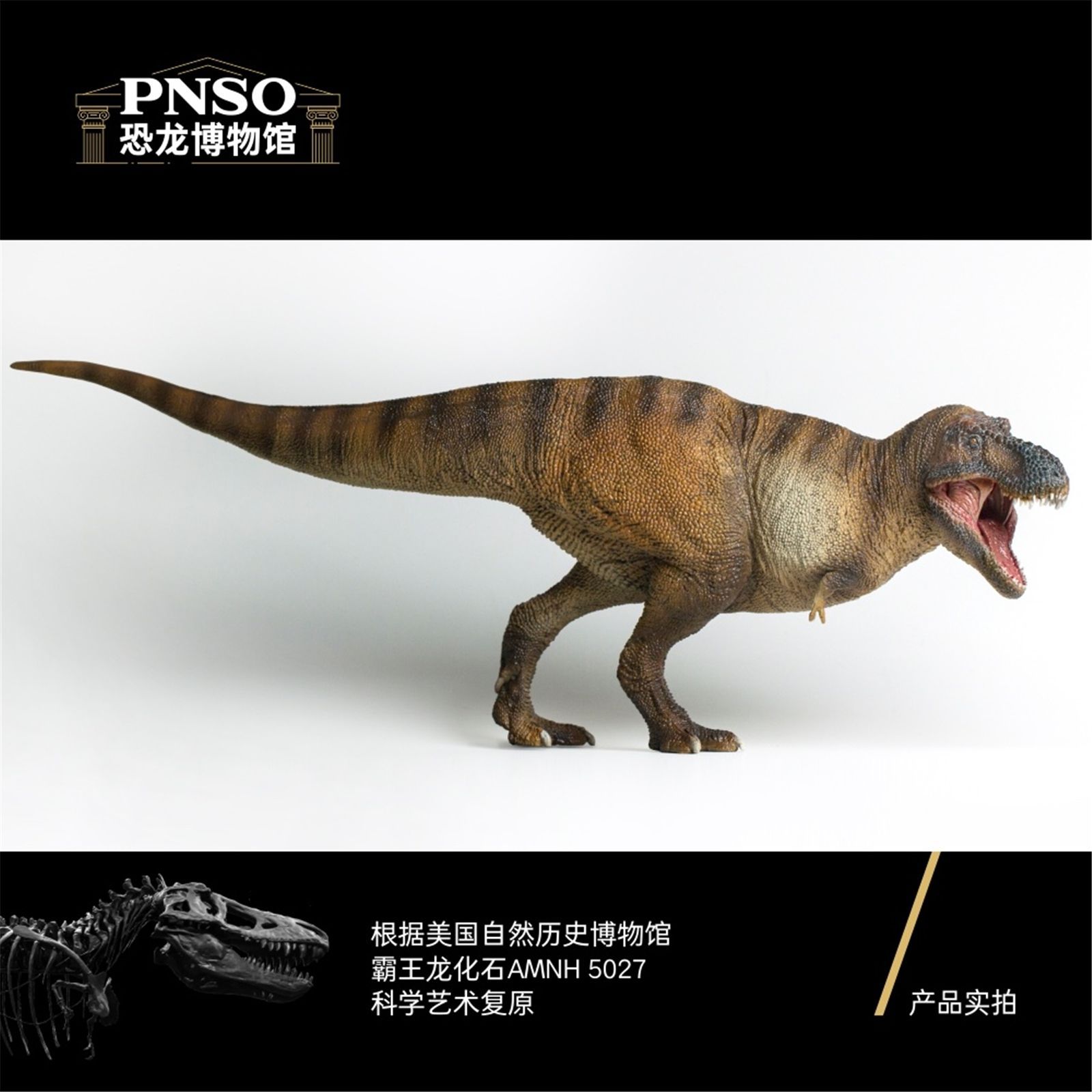 PNSO 恐竜博物館 1/35 サイズ ティラノサウルス T-REX 恐竜 リアル