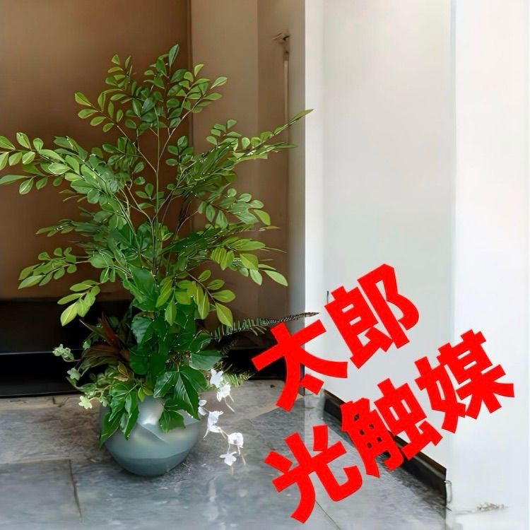 光触媒 人工観葉植物 ウォールグリーン フェイクグリーン トネリコ