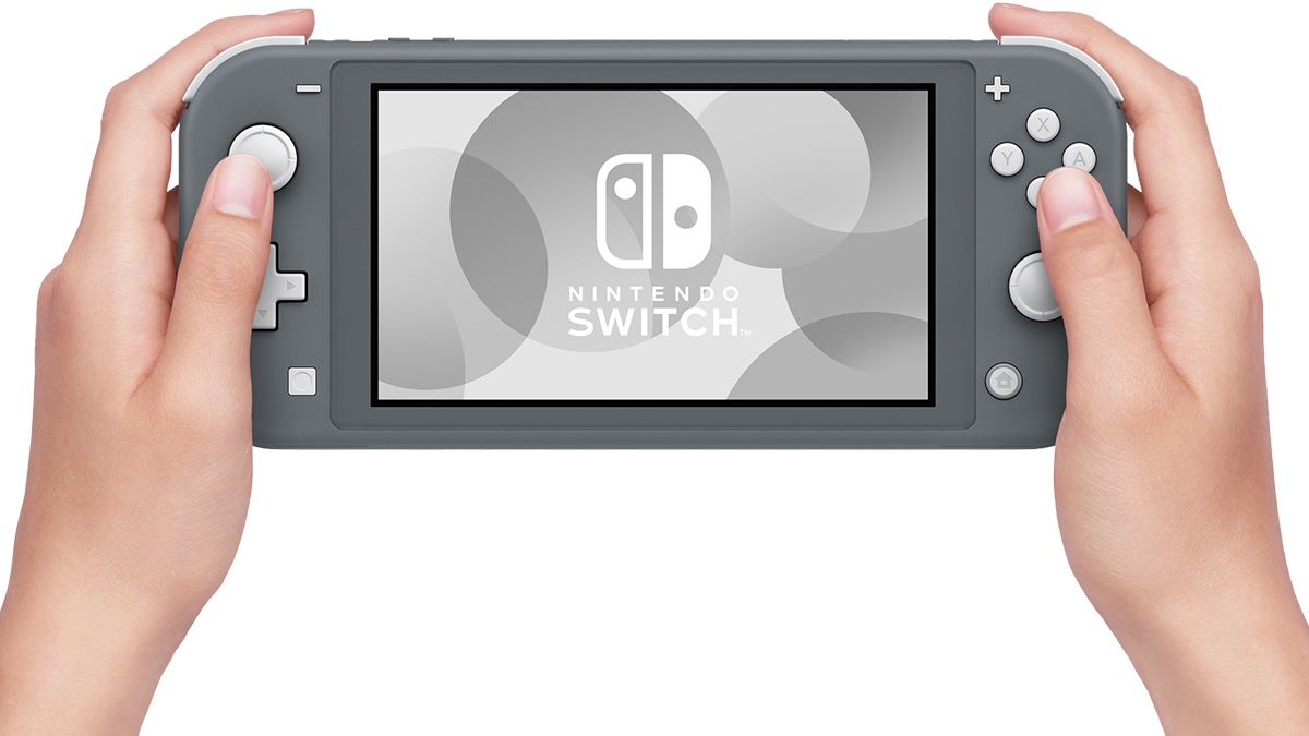 NINTENDO Switch Lite グレー本体 美品 Nintendo Switch Lite グレー