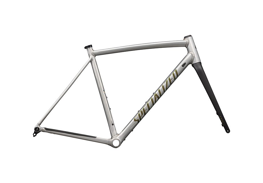 CRUX DSW FRAMESET BRSH/CMLNSNKEYE 49(49 サテンブラッシュドアルミ