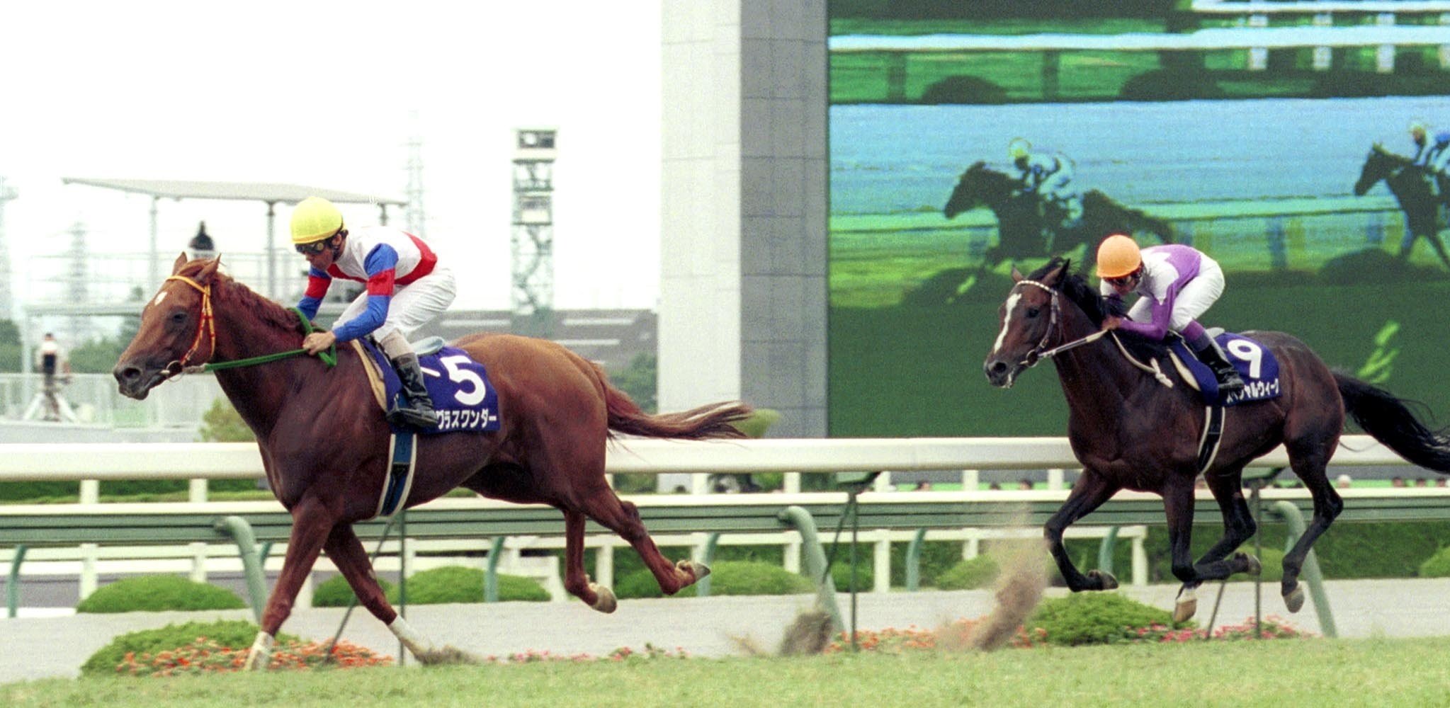 激レア】グラスワンダー2L 当時物 ウマ娘 競走馬AVANTI製宝塚記念 ウマ