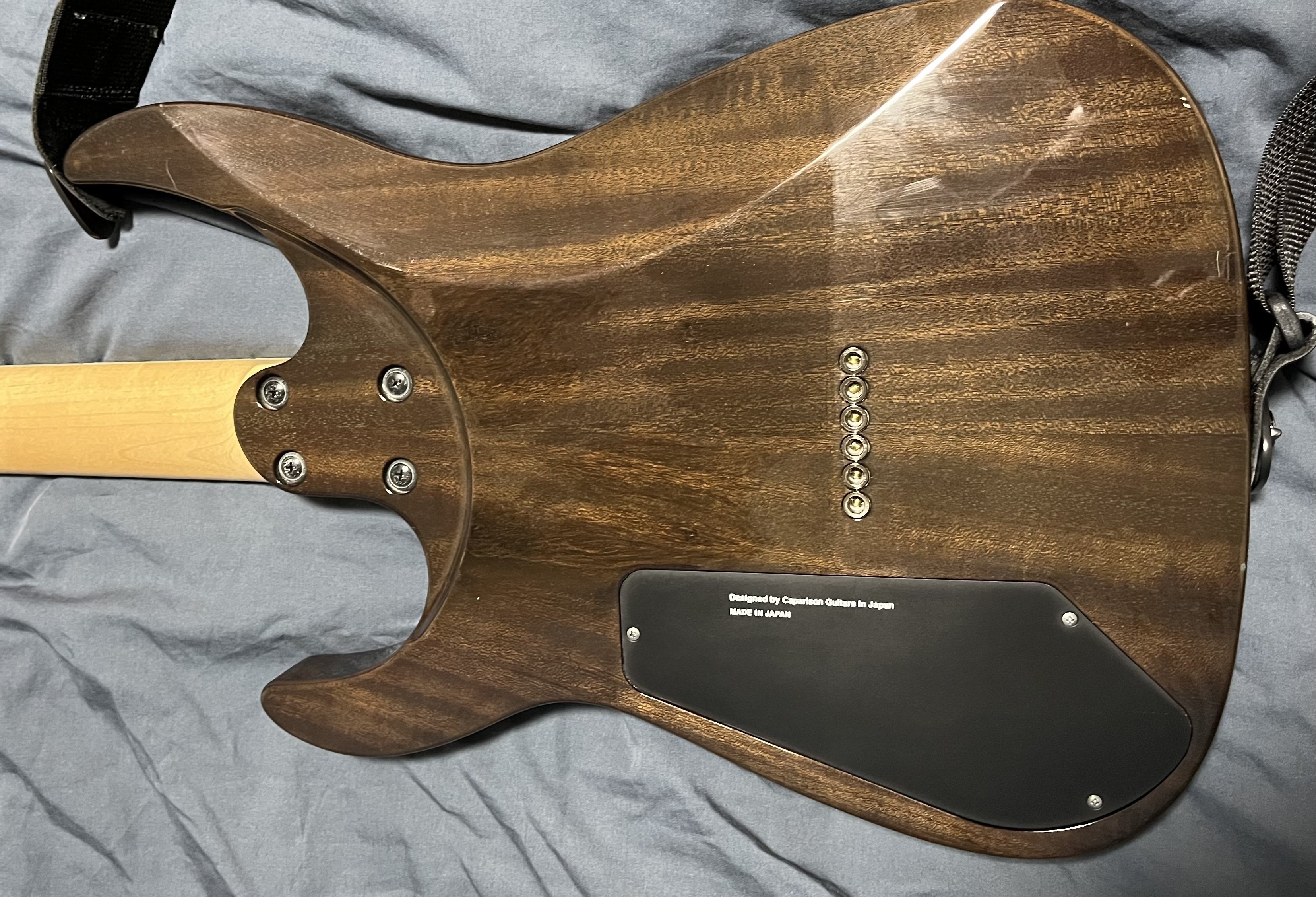 機材紹介(自慢)① Caparison Dellinger II FX-TMM CL-ML50 Timeless