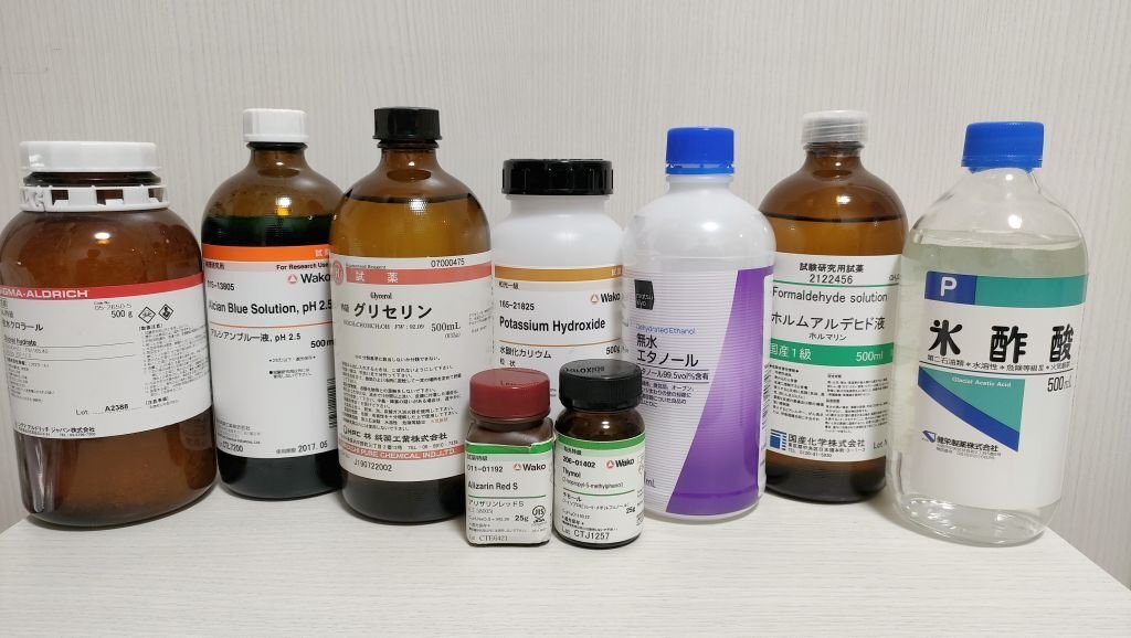 透明標本作製用【軟骨染色原液】30ml 青色染色 アルシアンブルー 大