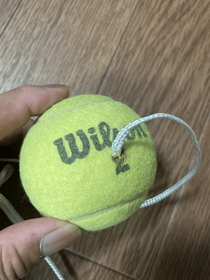 足裏マッサージのテニスボールに「ヒモ」をつける｜Saki | Handwritten