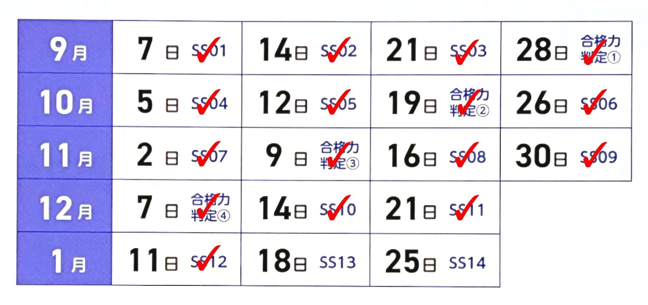 中学受験】年明け最初のSS特訓とSAPIXのZoom授業【小6サピックスα1・冬