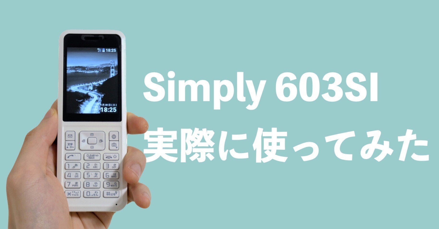 ダムフォン】令和にガラケー！？脱スマホ依存に最強の一台かも Simply