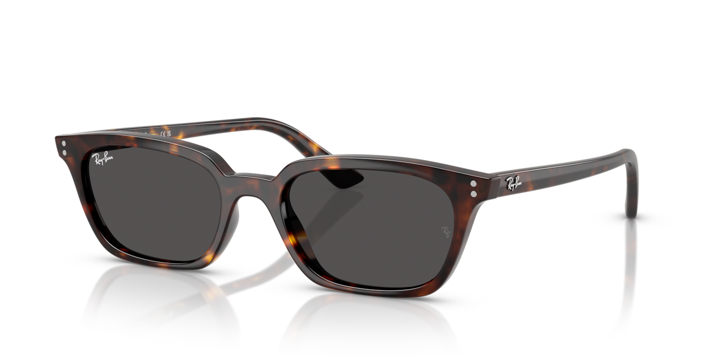 Sunglasses Ray-Ban RB4456 Zaya Bio-Based | Free Shipping | Glasses