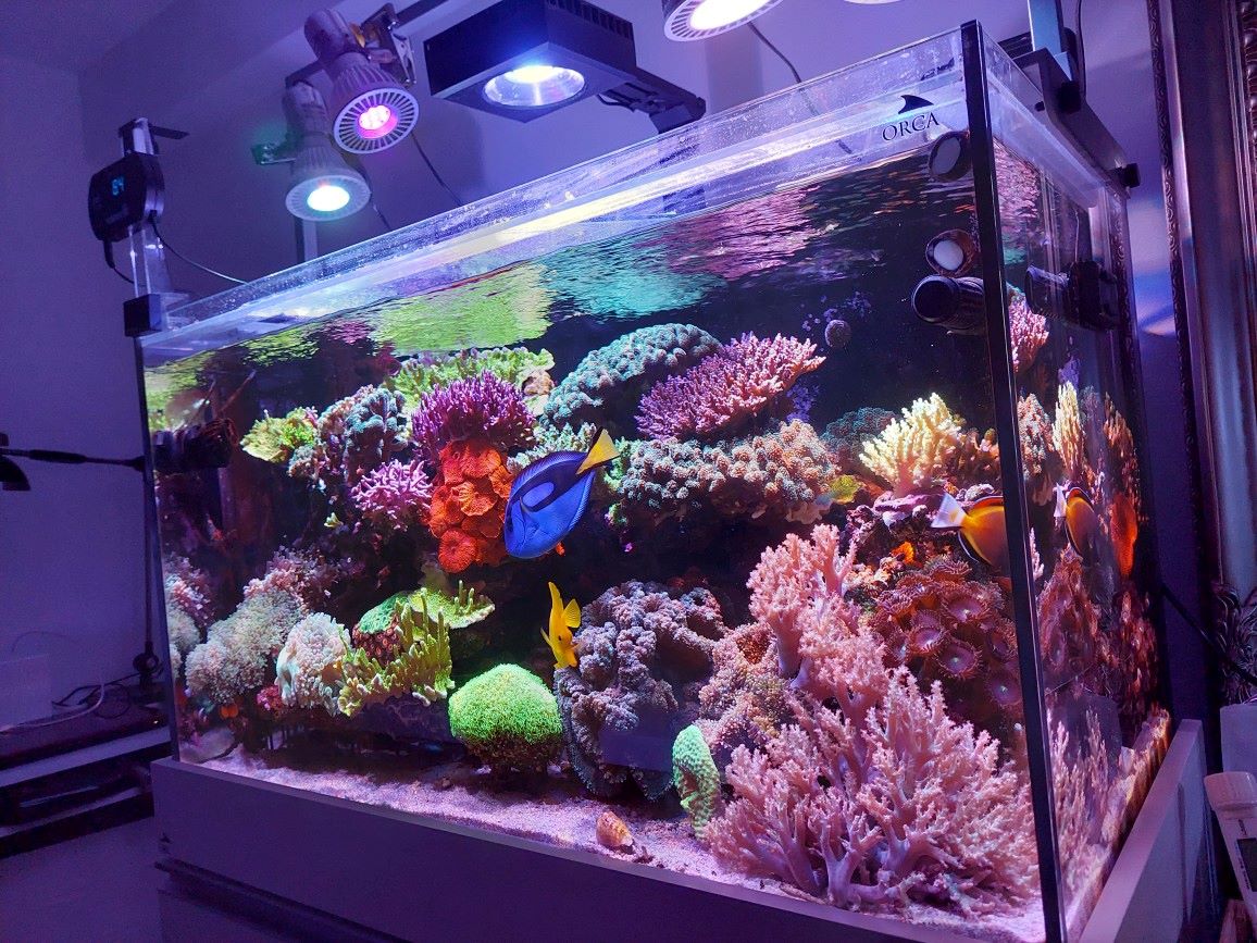 マーフィード ネモライト2 90cm水槽・海水用 マーフィードネモライト2