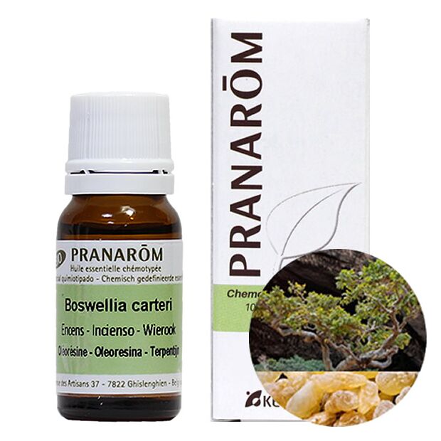 ぴーちさま】PRANAROM ダマスクローズ BIO 2ml プラナロム プラナロム
