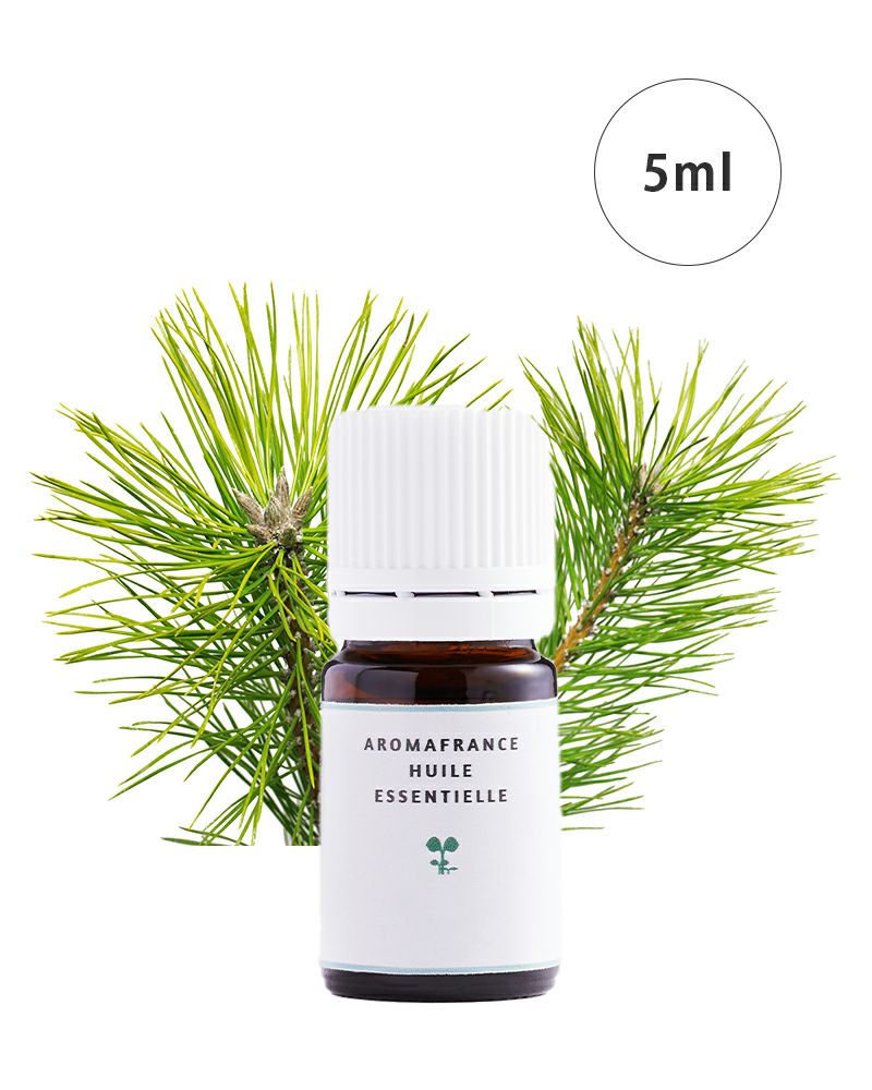 000000000173-01-m.jpg?t=