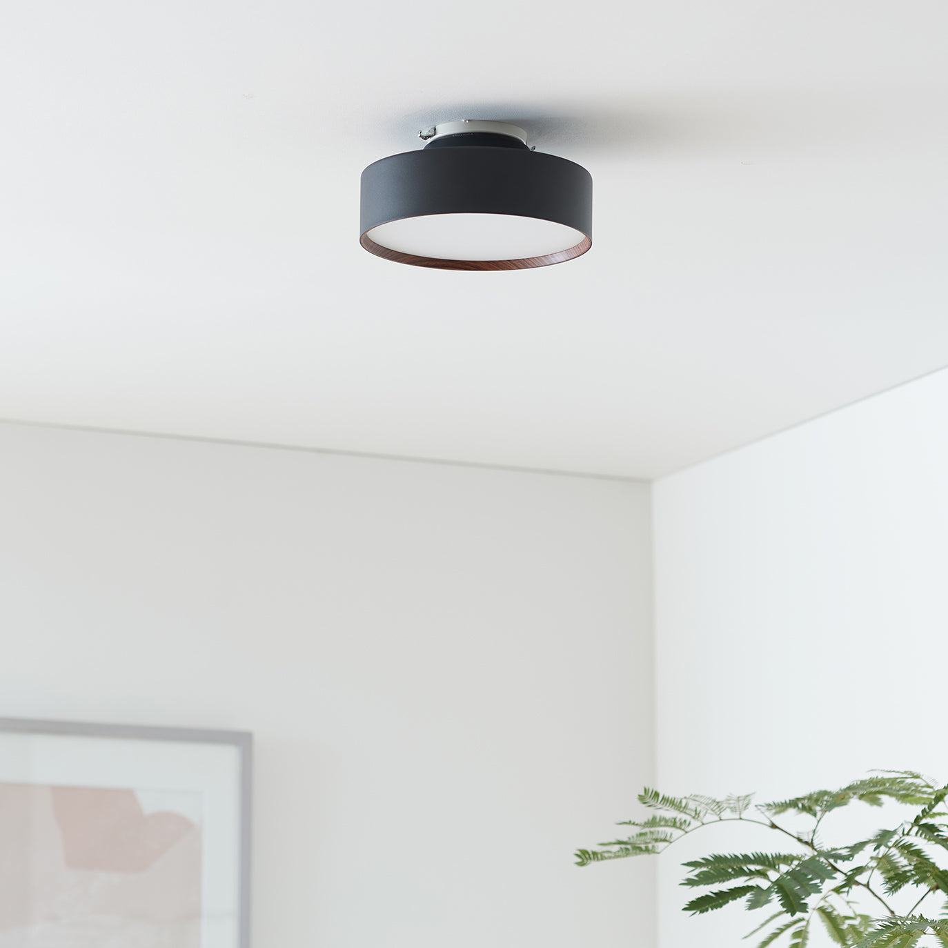 Glow mini LED-ceiling light｜ARTWORKSTUDIO公式