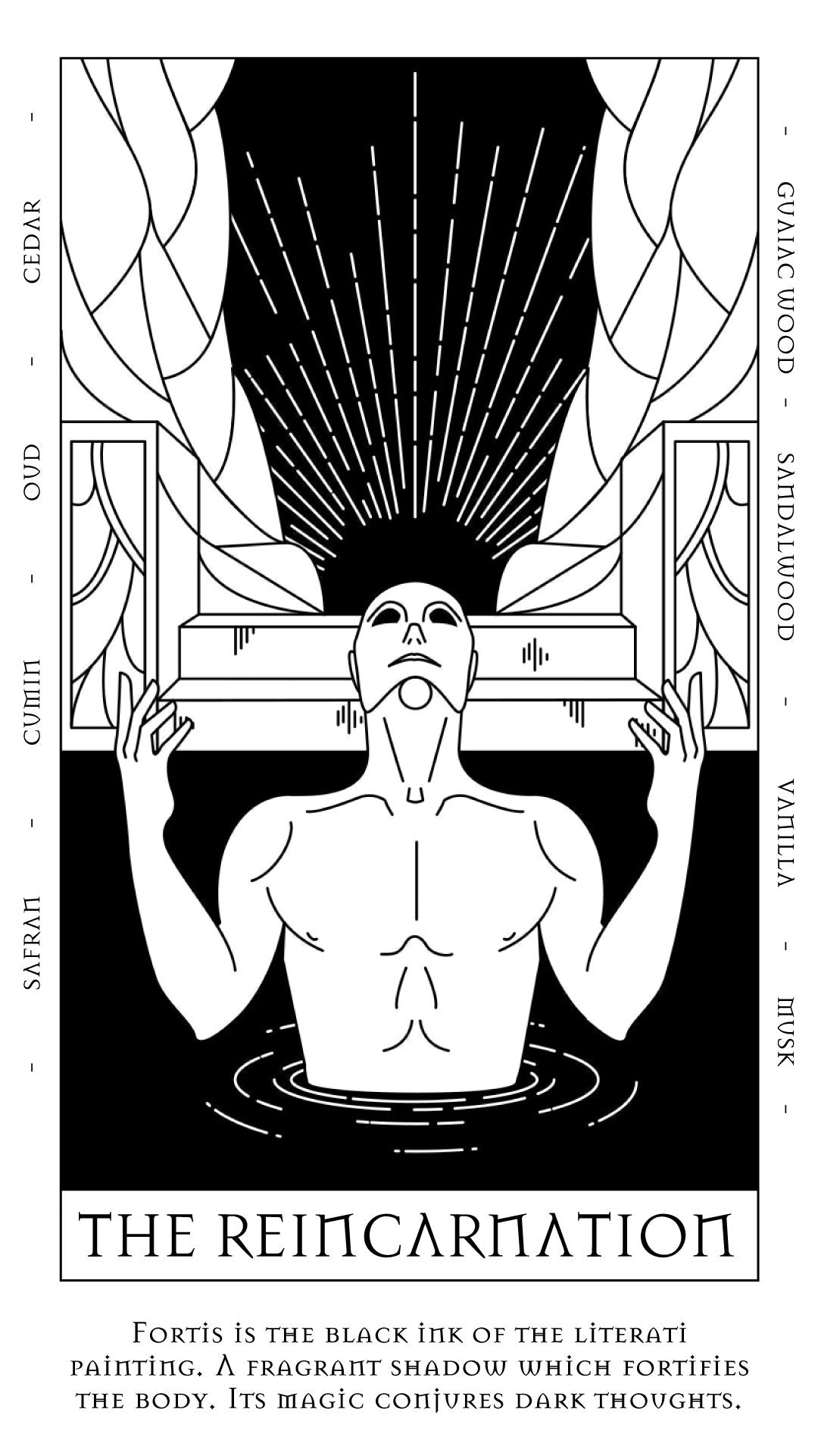 FORTIS（フォルティス） – ART EAU