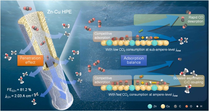Penetration Electrode Promotes Asymmetric Coupling with Balanced