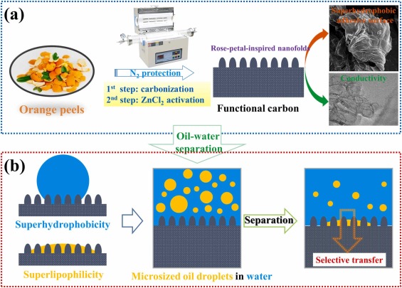Rose-petal-inspired fabrication of conductive superhydrophobic