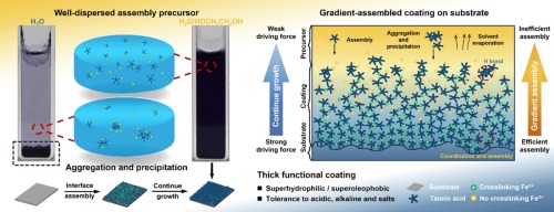 Solvation enabled highly efficient gradient assembly creates