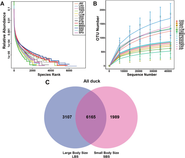Structural characteristics of intestinal microbiota of domestic