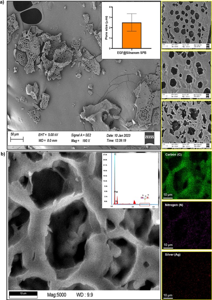Development and biological evaluation of smart powder bandage for