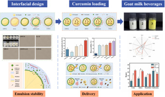 Regulation of goat whey protein complex interfacial structures by