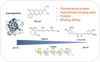 Influence of pH and low/high- methoxy pectin complexation on the