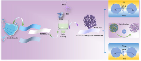 A bioinspired strategy to construct dual-superlyophobic PPMB