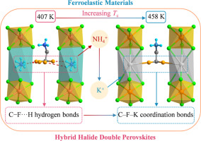NH4+/K+-substitution-induced C–F–K coordination bonds for