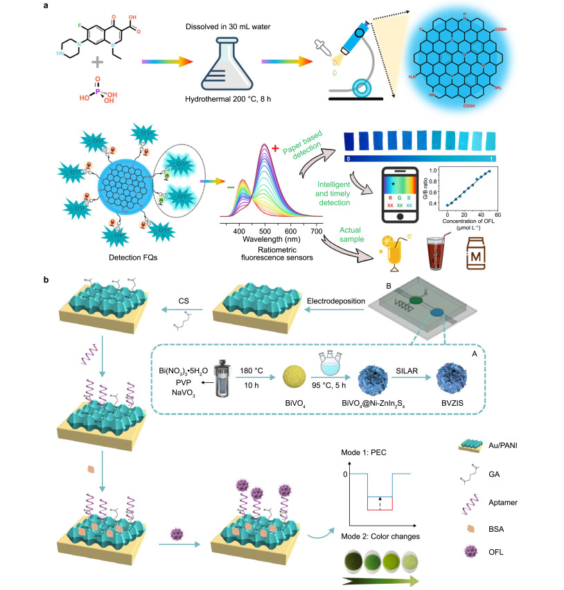 Emerging technologies for detecting antibiotics in aquaculture