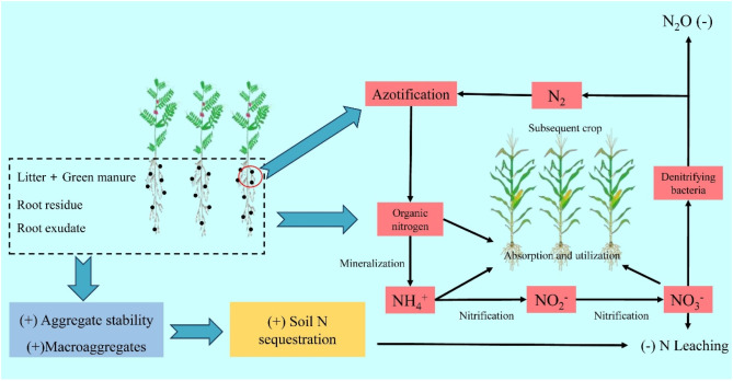 Recent advances in soil carbon sequestration and emission