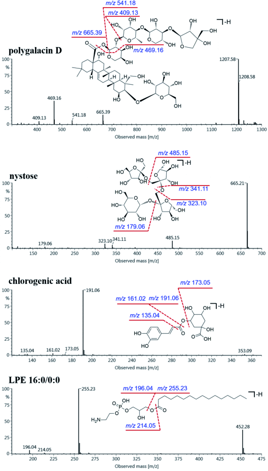 Comprehensive profiling of Platycodonis radix in different growing