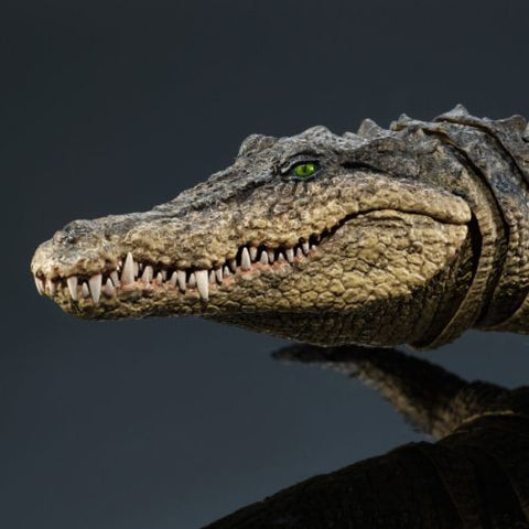 Ultimate Nile Crocodile (Bandai) - The Diversity of Life on Earth