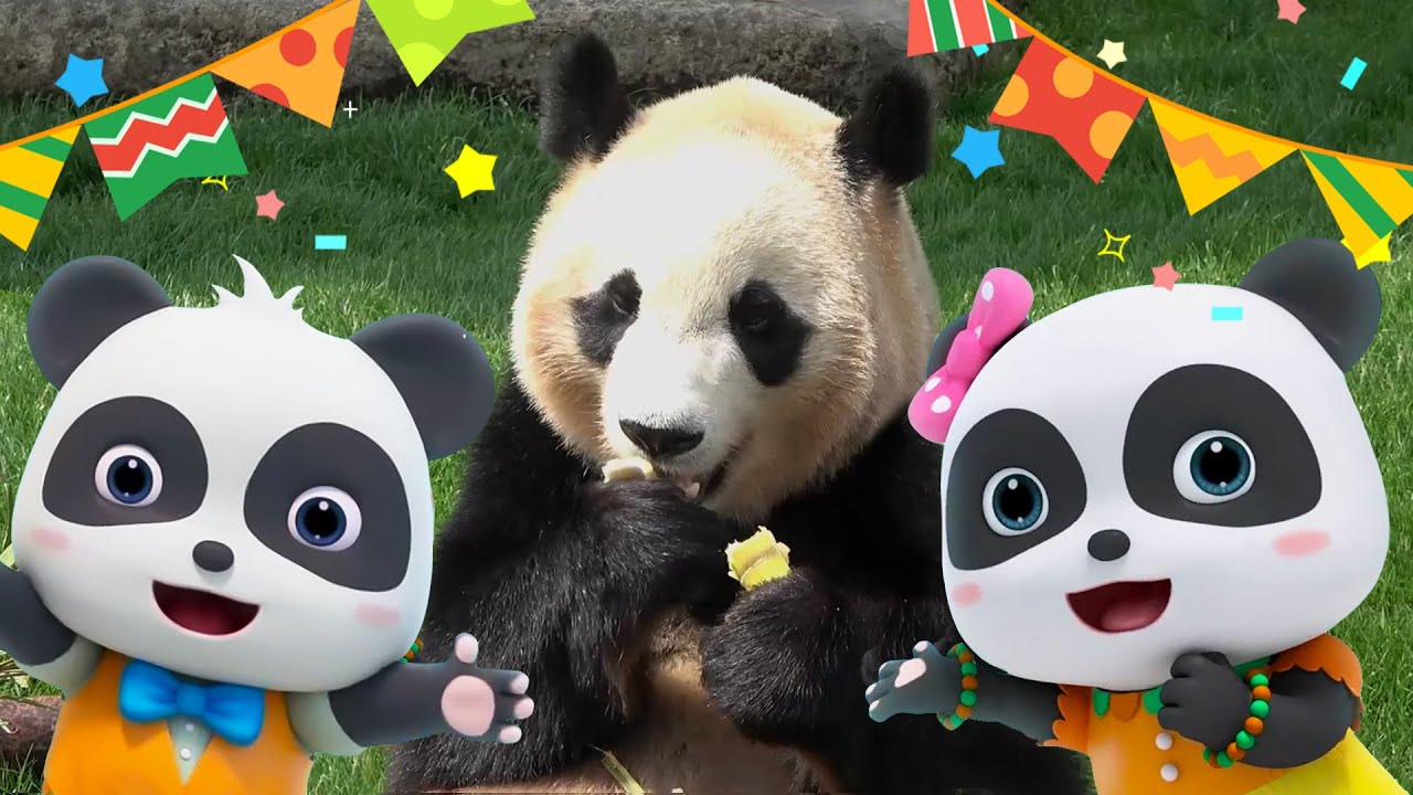 BabyBus × アドベンチャーワールド｜HAPPY PANDA 30th